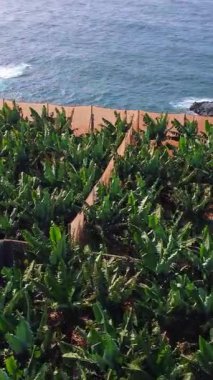 Çeşitli manzaralarda çarpıcı bir yolculuk yaşayın, yemyeşil tarlalardan nefes kesici uçurumlara, kayalık kıyılara, ve ıssız bir çöl evine.