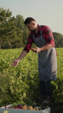 Önlüklü bir adam güneş ışığında taze ürünler topluyor, sürdürülebilir ve çevre dostu uygulamaları vurguluyor.