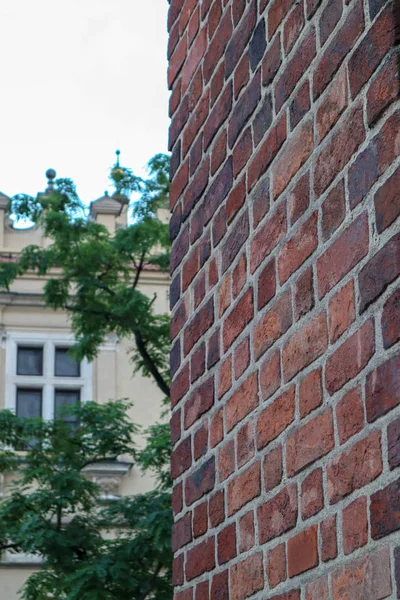 arka planda bina ile tuğla duvar