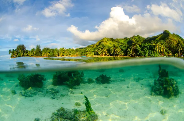 Split Disparo Bajo Agua Moorea Tahití Polinesia Francesa — Foto de Stock