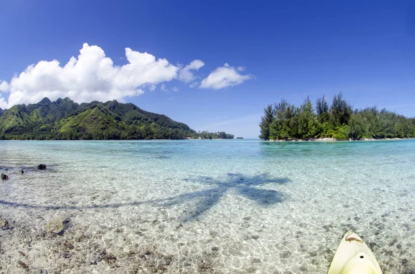 Vista Panoramica Della Laguna Sull Isola Moorea Nella Polinesia Francese — Foto Stock