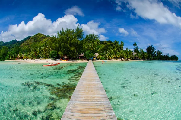 Bridge in paradise at Moorea Island in Tahiti French Polynesia