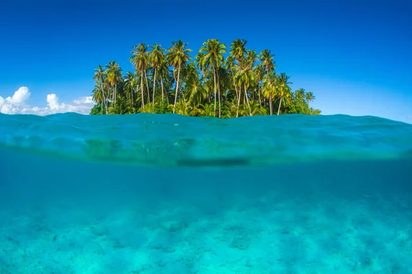 Isola Idilliaca Sparatoria Subacquea Nella Regione Mentawaii Indonesia — Foto Stock