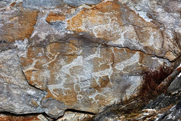 Rock paintings of ancient people. Image of ancient hunters — Stock Photo, Image