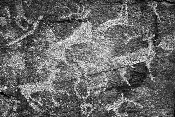 Rock paintings of ancient people. Image of ancient hunters