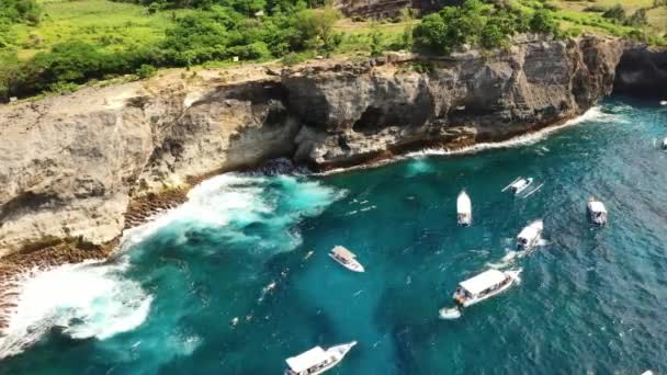 Vista Aérea Grupo Raios Manta Nadar Com Manta Mergulho Oceano — Vídeo de Stock