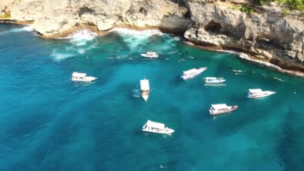 Aerial View Manta Rays Group Swimming Manta Snorkeling Indian Ocean — Stock Video