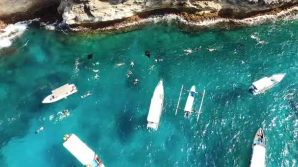Letecký Pohled Skupinu Manta Paprsků Plavání Mantou Šnorchlování Indickém Oceánu — Stock video
