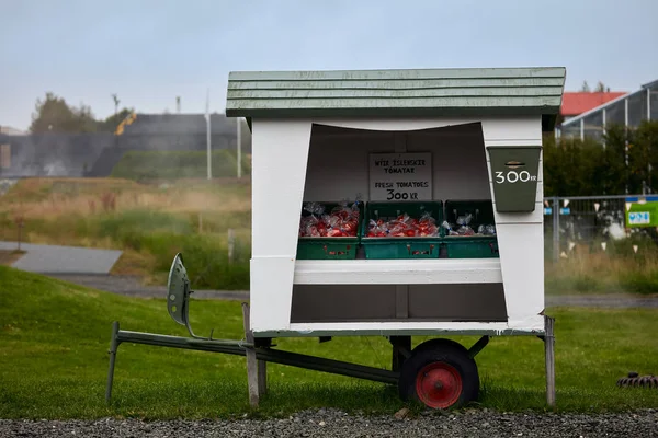 Selling fresh tomatoes. Self-service kiosk. Iceland