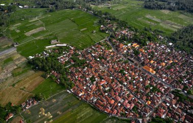 Taze yeşil ve sarı pirinç tarlalarının üst görüntüsü veya hava görüntüsü. 