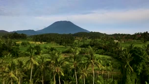 Luchtfoto Van Rijstvelden Dorpen Buurt Van Mount Agung Bali Indonesië — Stockvideo