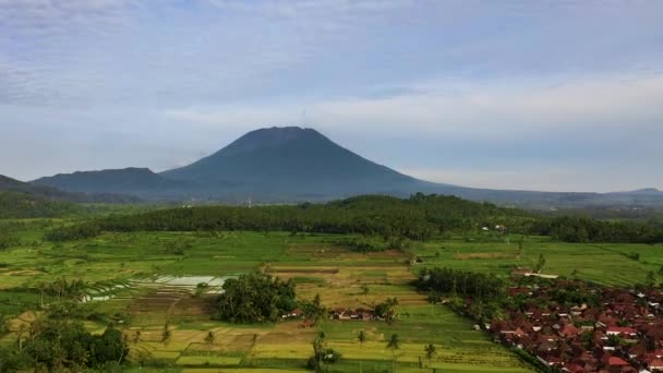 Letecký Pohled Rýžová Pole Vesnice Poblíž Hory Agung Bali Indonésie — Stock video