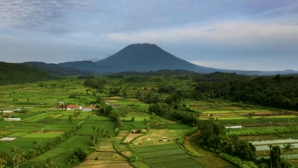 Vista Aérea Campos Arroz Aldeias Perto Monte Agung Bali Indonésia — Vídeo de Stock