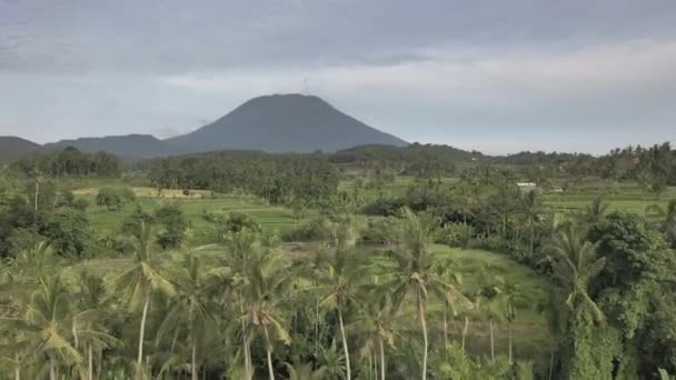 Letecký Pohled Rýžová Pole Vesnice Poblíž Hory Agung Bali Indonésie — Stock video