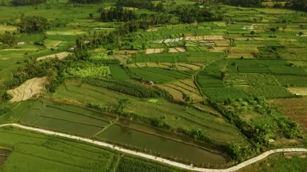 Vista Aérea Campos Arroz Aldeias Perto Monte Agung Bali Indonésia — Vídeo de Stock