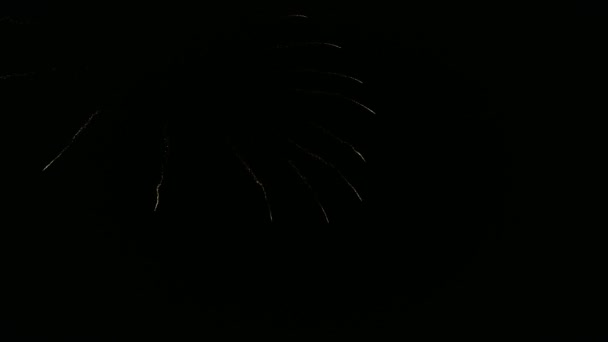 Prachtige Vuurwerkshow Independence Day Clip Van Prachtig Vuurwerk Voor Achtergrond — Stockvideo