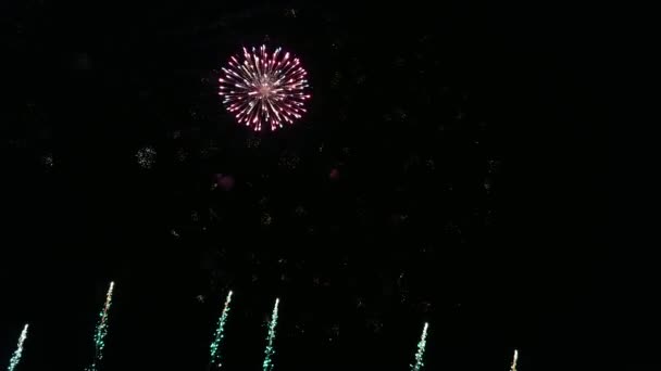 Gyönyörű Tűzijáték Függetlenség Napja Csíptet Ból Csodálatos Ból Tűzijátékok Részére — Stock videók