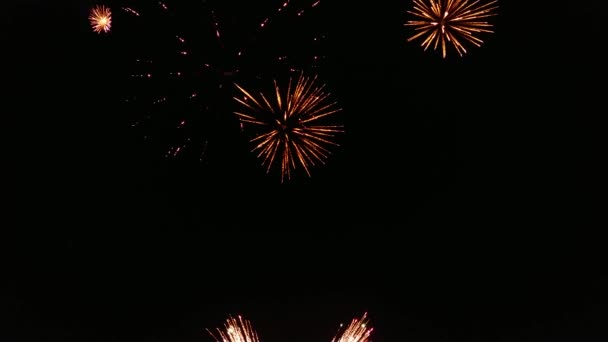 Hermoso Espectáculo Fuegos Artificiales Día Independencia Clip Maravilloso Fuegos Artificiales — Vídeos de Stock