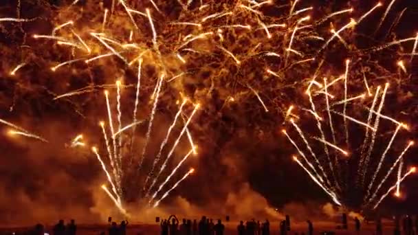 Hermoso Espectáculo Fuegos Artificiales Día Independencia Clip Maravilloso Fuegos Artificiales — Vídeos de Stock