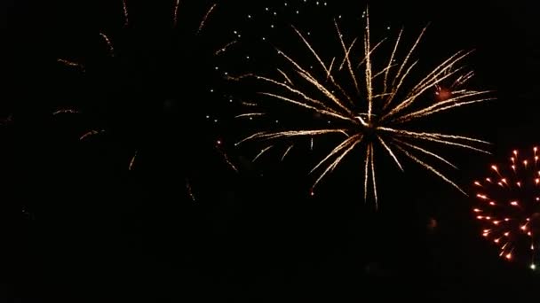 独立記念日には美しい花火大会が開催されます 背景のための花火の素晴らしいの4Kクリップ お祝いのコンセプトクローズアップで壮大な休日の花火 — ストック動画