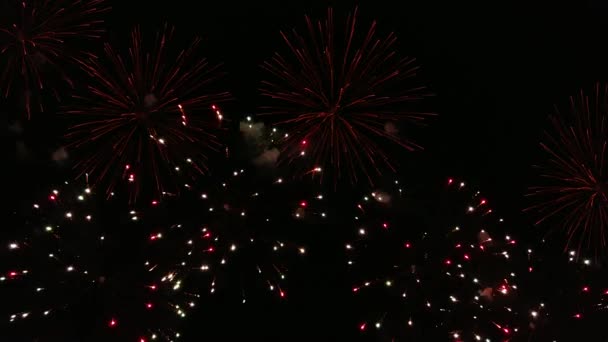 Prachtige Vuurwerkshow Independence Day Clip Van Prachtig Vuurwerk Voor Achtergrond — Stockvideo