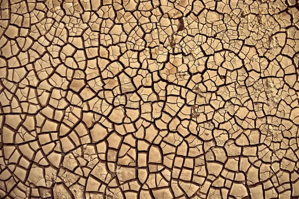 Desert Aerial view. beautiful cracks in the ground.