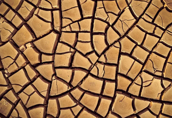 Desert Aerial view. beautiful cracks in the ground.