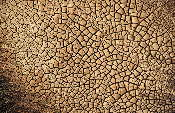 沙漠鸟瞰图。美丽的裂缝在地面. — 图库照片