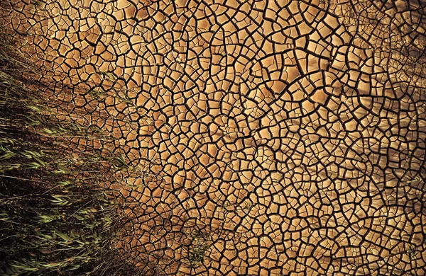 Vista aérea do deserto. belas rachaduras no chão . — Fotografia de Stock