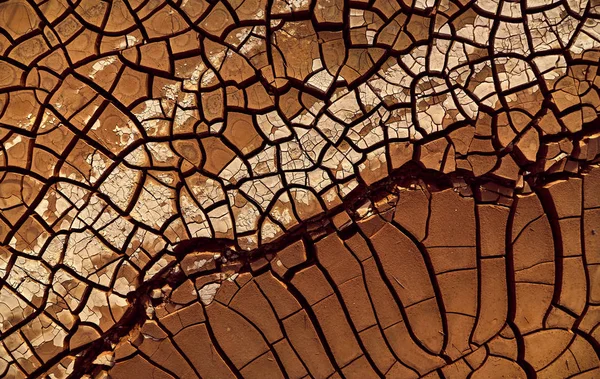 Desert Aerial view. beautiful cracks in the ground.