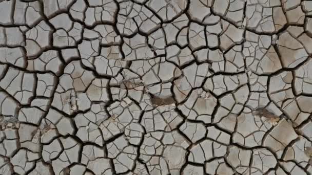 Deserto Vista Aérea Uma Bela Rachaduras Chão Textura Crack Profundo — Vídeo de Stock