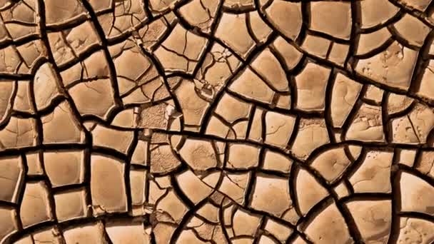 Desert Aerial View Beautiful Cracks Ground Texture Deep Crack — Stock Video