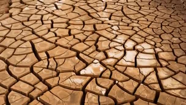 Desierto. Vista aérea de unas hermosas grietas en el suelo. textura, grieta profunda . — Vídeo de stock