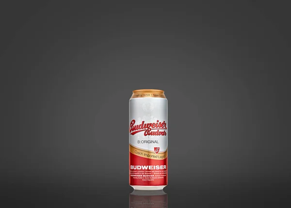 Lata de cerveza Budweiser lager sobre fondo gris. Budvar. — Foto de Stock