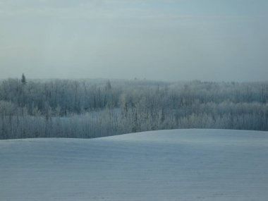 Kuzey Alberta 'da güzel kış manzarası.