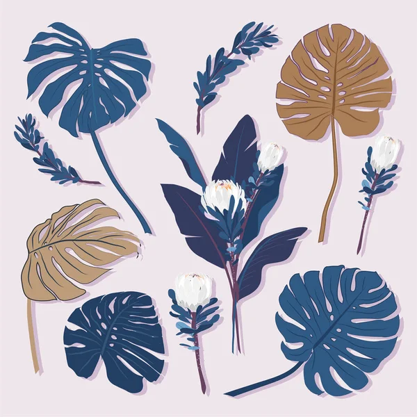 Set Van Tropische Bladeren Bloemenelementen Lichtgrijze Achtergrond Met Hand Getekend — Stockfoto