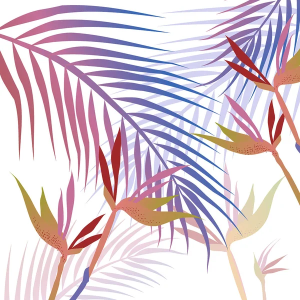 熱帯の葉のカラフルなベクトル組成カラービーチ壁紙白の背景 — ストック写真