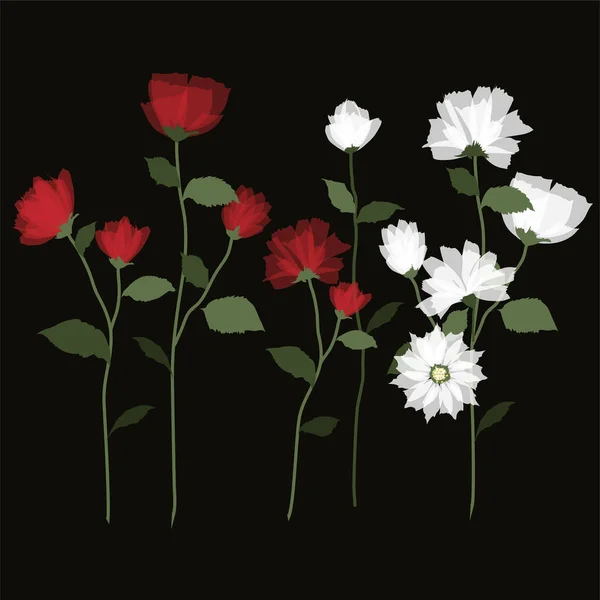 一套白色和红色的花 关于茎花的黑色清净风格 — 图库照片