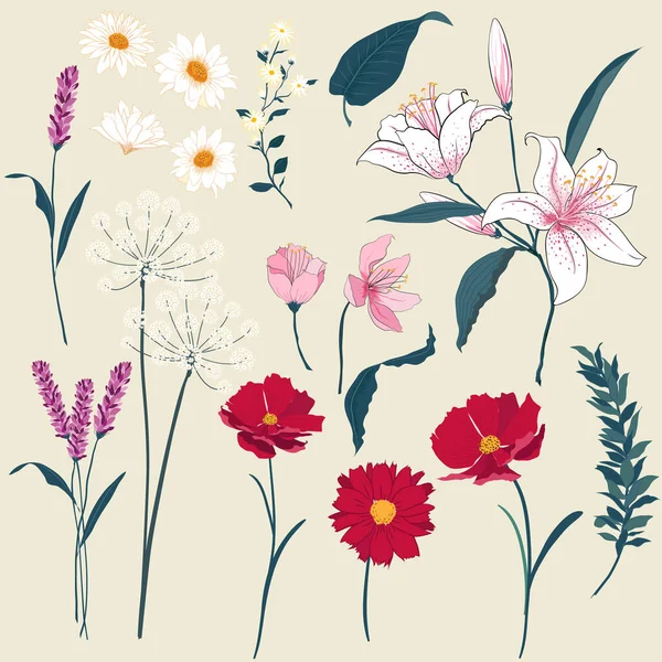 Uppsättning Blommor Gratulationskort Med Blommande Trädgård Blommor Botaniska Naturliga Illustration — Stockfoto