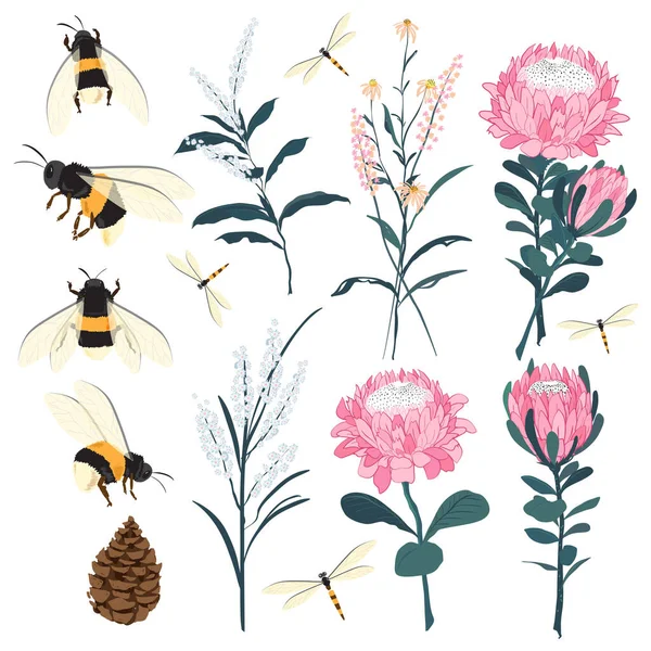 Zomer Bloementuin Wenskaart Met Bloeiende Tuinbloemen Bijen Botanische Natuurlijke Illustratie — Stockfoto