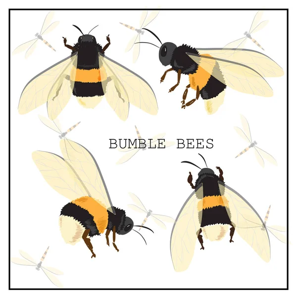 Sada Včel Vektor Sada Medu Včel Ikona Izolovaného Hmyzu Létající — Stock fotografie