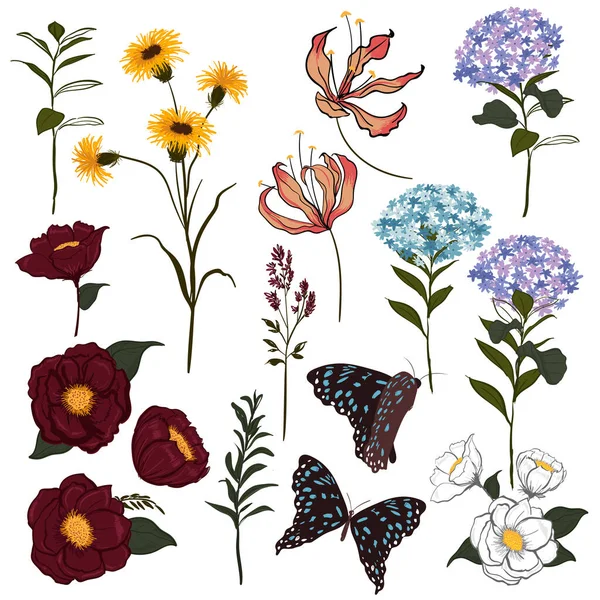 Uppsättning Vektor Vackra Konstnärliga Ljusa Botaniska Trädgården Med Blommande Blommor — Stockfoto