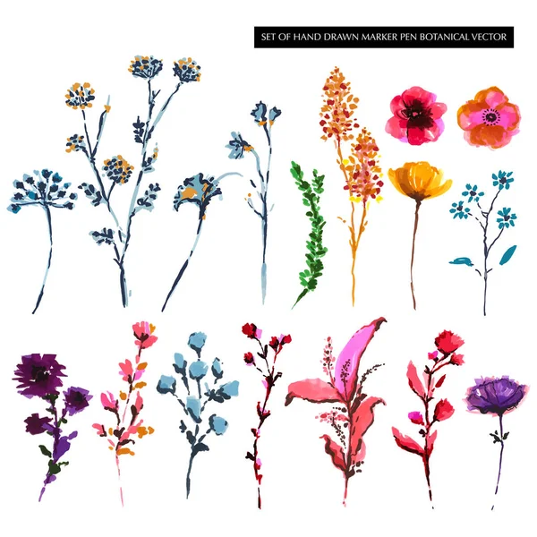 Set Med Färgglada Handritade Botaniska Blommor Från Markör Penna Skiss — Stock vektor