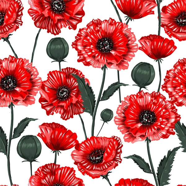 Beautiful Blooming Red Poppy Flowers Seamless Pattern Illustration Vector Design — Stock Vector