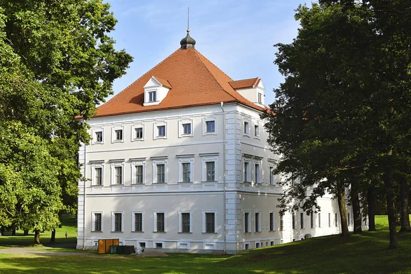 Birzai Slott Birzai Stad Litauen — Stockfoto