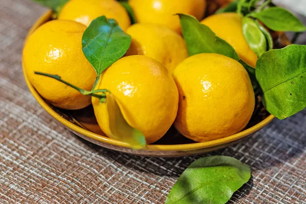 Mandarinas Naranjas Mandarinas Clementinas Cítricos Con Hojas Una Placa Cerámica —  Fotos de Stock