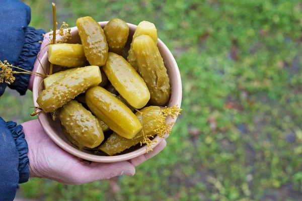 Presentatie Plaat Van Zelfgemaakte Gepekelde Komkommers — Stockfoto