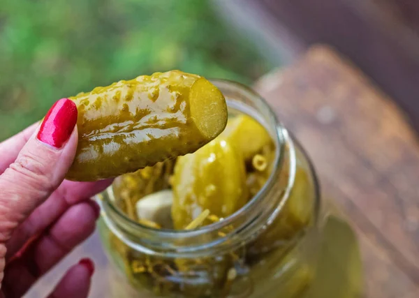 Deliciosos Pepinos Caseiros Conserva Mão Mulher Segurando Pepino Conserva — Fotografia de Stock