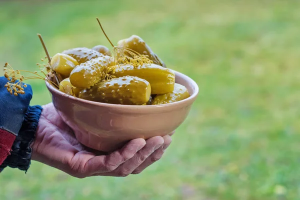 Presentation plate of homemade pickled cucumbers