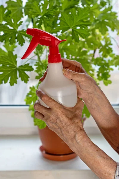 Ręce Spraye Starszą Kobietę Rośliny Domu — Zdjęcie stockowe